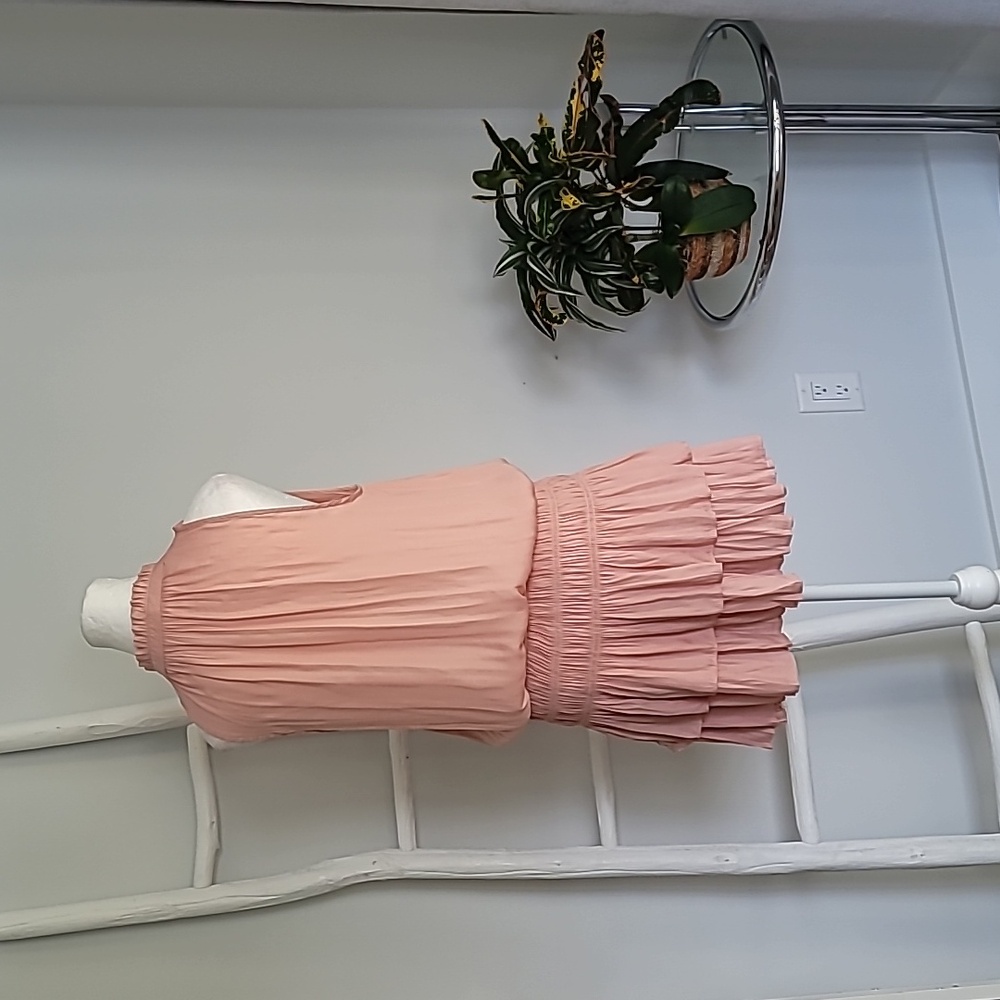 Mustard Seed Blush Pink Sleeveless Smocked Pleated Cocktail Mini Dress - Picture 5 of 10